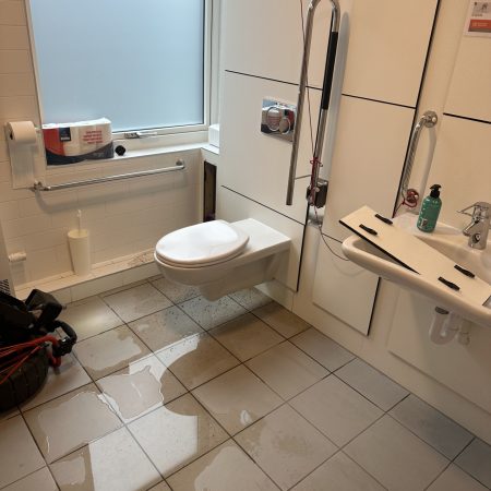 Verstopt senioren toilet in Delft